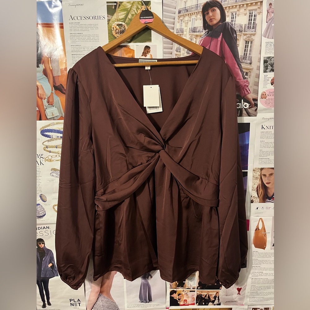 Sheer Knot Tied Blouse